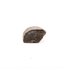 Afbeelding in Gallery-weergave laden, Fossiel Hout
