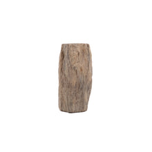 Afbeelding in Gallery-weergave laden, Fossiel Hout

