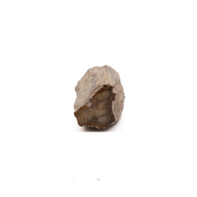 Afbeelding in Gallery-weergave laden, Fossiel Hout
