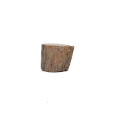 Afbeelding in Gallery-weergave laden, Fossiel Hout
