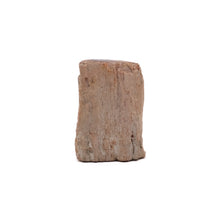 Afbeelding in Gallery-weergave laden, Fossiel Hout
