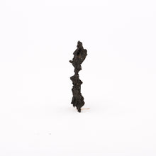 Afbeelding in Gallery-weergave laden, Fulguriet
