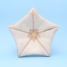 Afbeelding in Gallery-weergave laden, Zeester cushion XL
