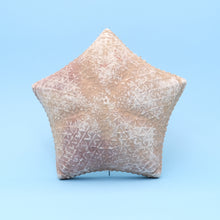 Afbeelding in Gallery-weergave laden, Zeester cushion XL
