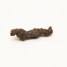Afbeelding in Gallery-weergave laden, Coproliet
