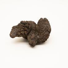Afbeelding in Gallery-weergave laden, Coproliet
