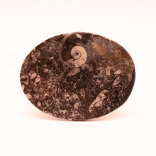 Afbeelding in Gallery-weergave laden, Fossiel Goniatiet schaaltje ovaal

