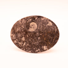 Afbeelding in Gallery-weergave laden, Fossiel Goniatiet schaaltje ovaal
