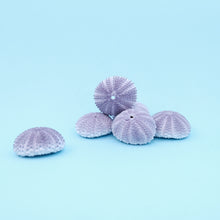 Afbeelding in Gallery-weergave laden, paarse zee-egel
